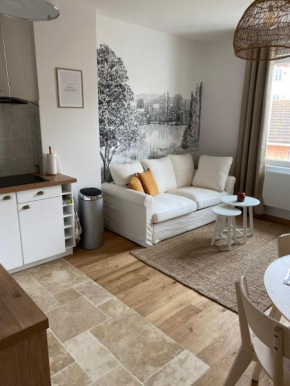 Hilo Charming Appartment Saint Laurent Sur Sane